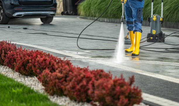 Best House Exterior Washing  in Canton, TX